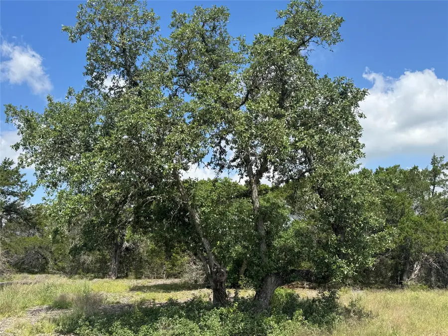 Lot 37 Riparian Elm Rd, Bertram, TX 78605 - #2
