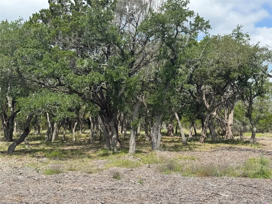 Lot 37 Riparian Elm Rd, Bertram, TX 78605 - #3