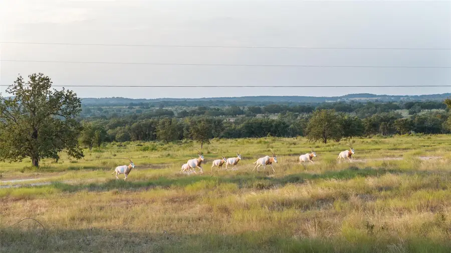 8577 Ranch Road 2766, Johnson City, TX 78636 - #2