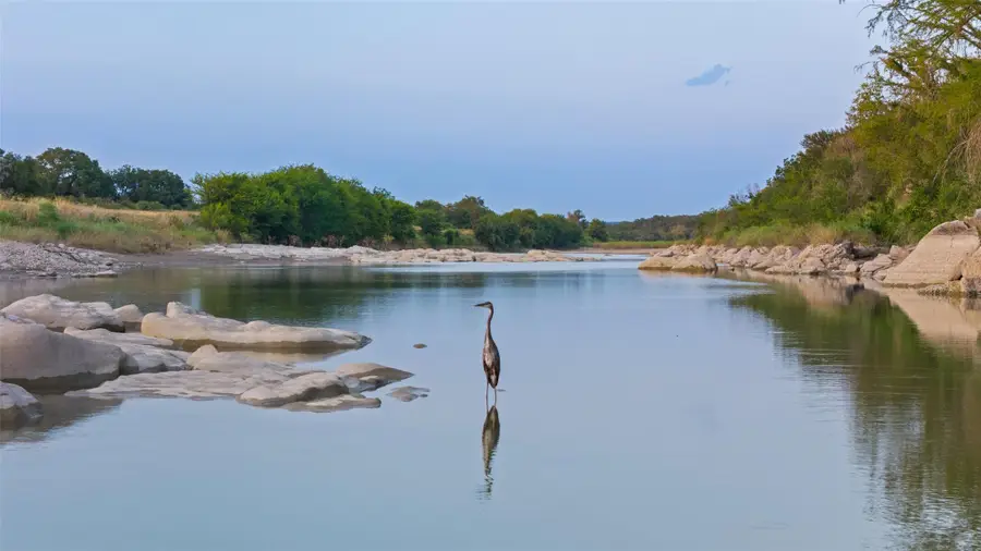 8577 Ranch Road 2766, Johnson City, TX 78636 - #3