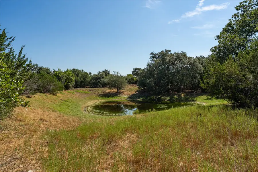 119 Riley Wood St, Blanco, TX 78606 - #3