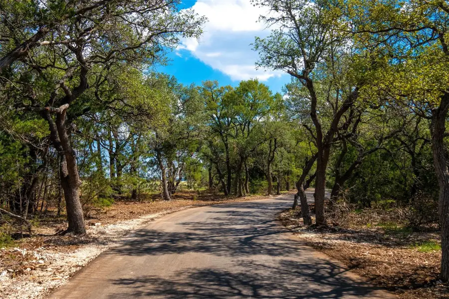 597 Spaniel Hill Rd, Georgetown, TX 78633 - #2