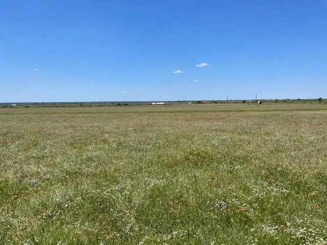 TBD Fm 963, Bertram, TX 78605 - #2