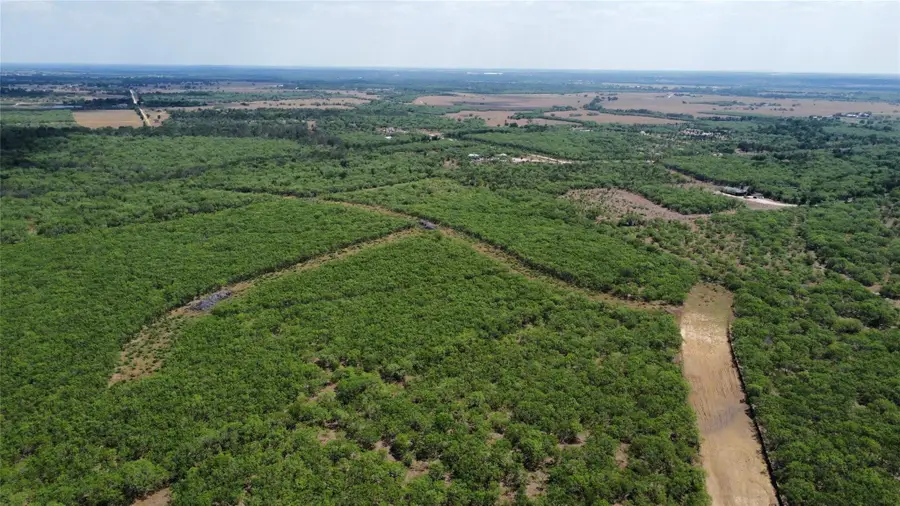 TBD Lively Stone Rd, Lockhart, TX 78644 - Image #2