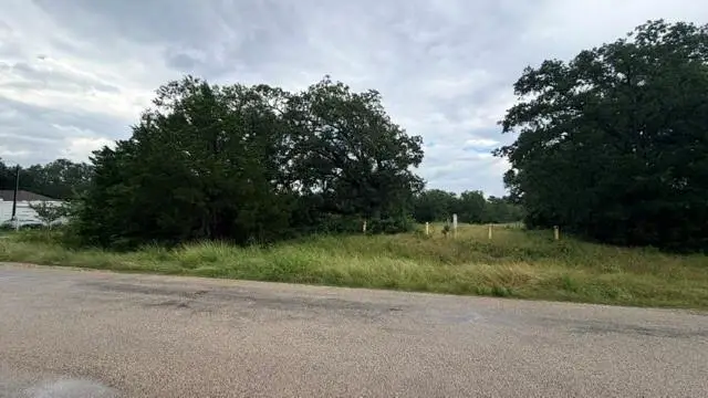 000 Cool Water Dr, Bastrop, TX 78602 - #3