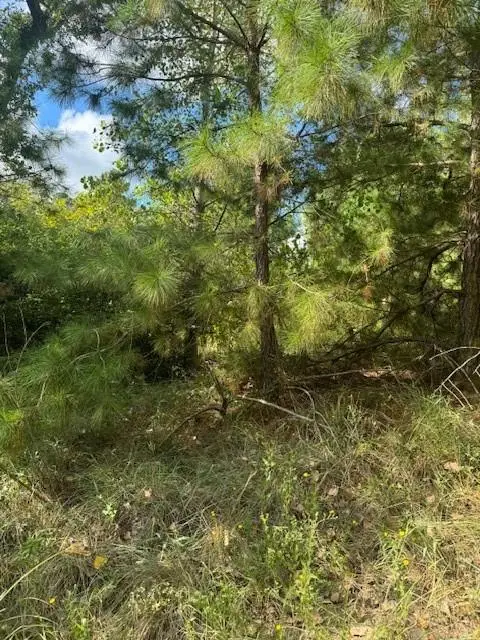 Lots 1338 and 1339 Tahitian Dr, Bastrop, TX 78602 - #1
