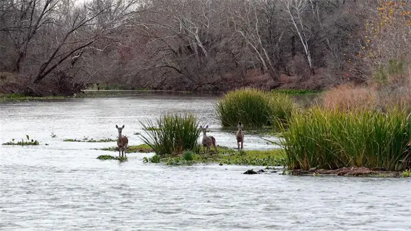 256 Greasy Bend Rd, Smithville, TX 78957