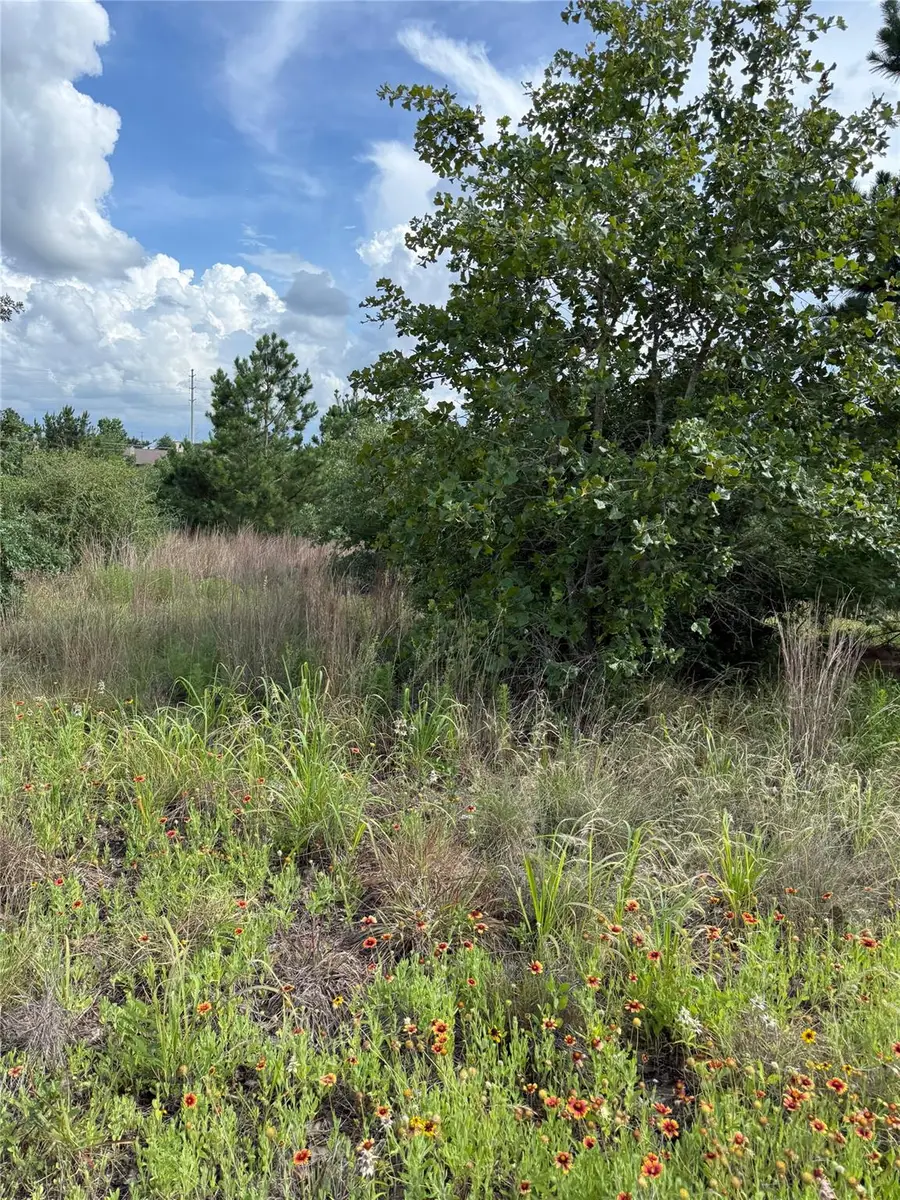 Lots 89-90 Pintail Ln, Bastrop, TX 78602 - #2