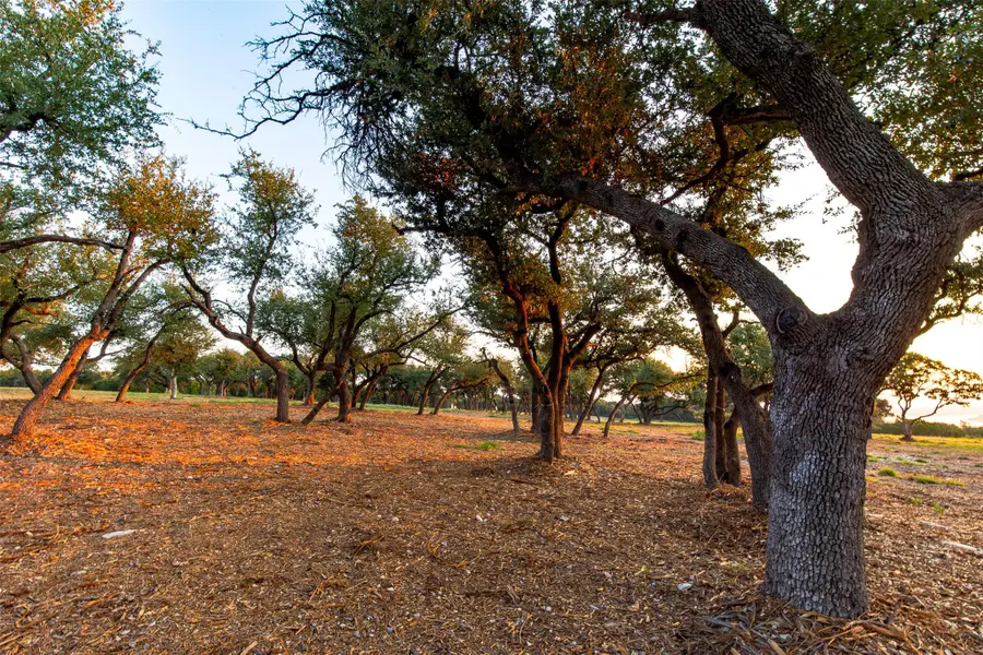 20107 Westlake Pkwy #Lot 3, Georgetown, TX 78628 - #3