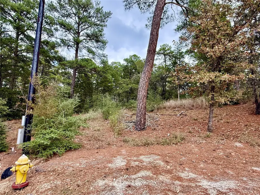 109 and 115 Olomana Ct, Bastrop, TX 78602 - Image #3