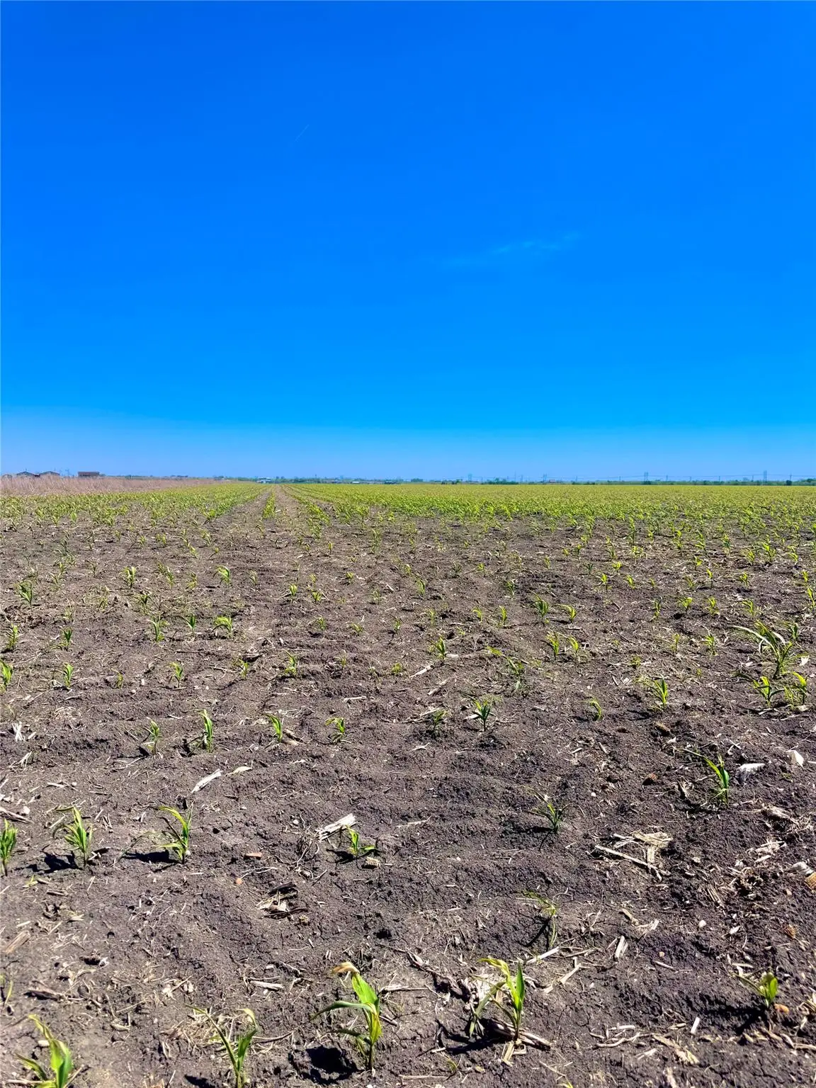 TBD Tract 4 Lund Carlson Rd, Coupland, TX 78615 - #1