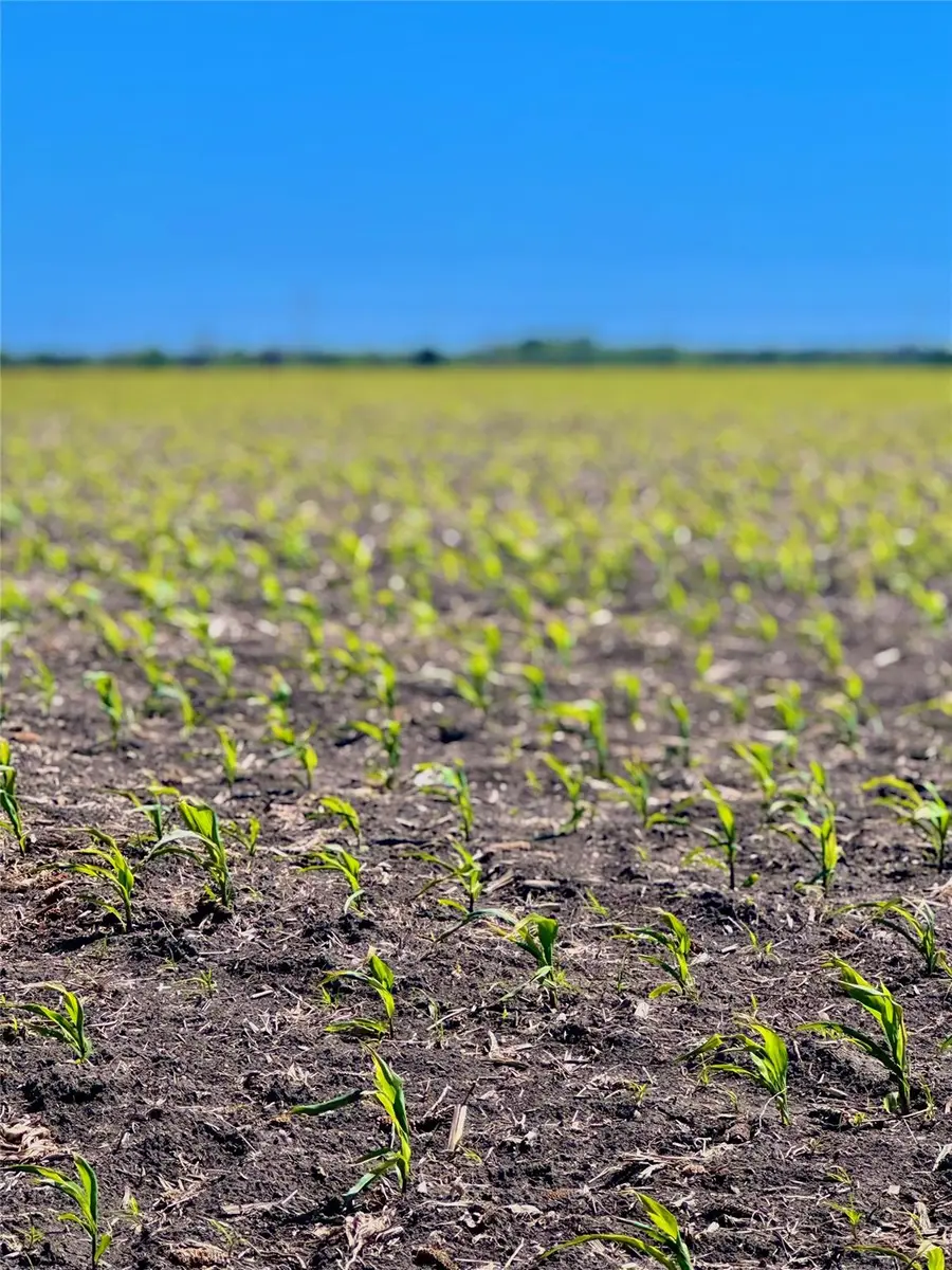 TBD Tract 4 Lund Carlson Rd, Coupland, TX 78615 - #2