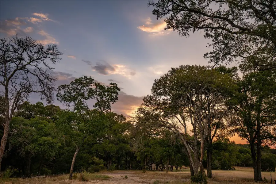 124 Sea Smoke Cv, Liberty Hill, TX 78642 - #3