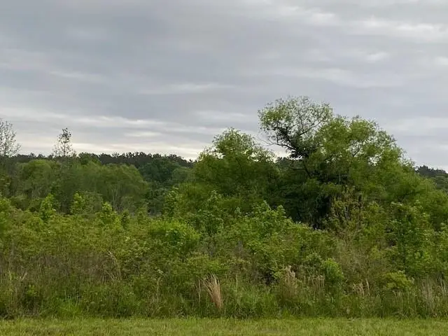 #2