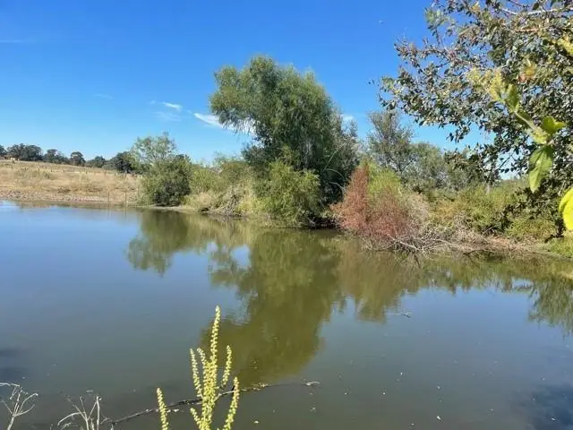 200 Hershal Ln, Cedar Creek, TX 78612 - Image #2