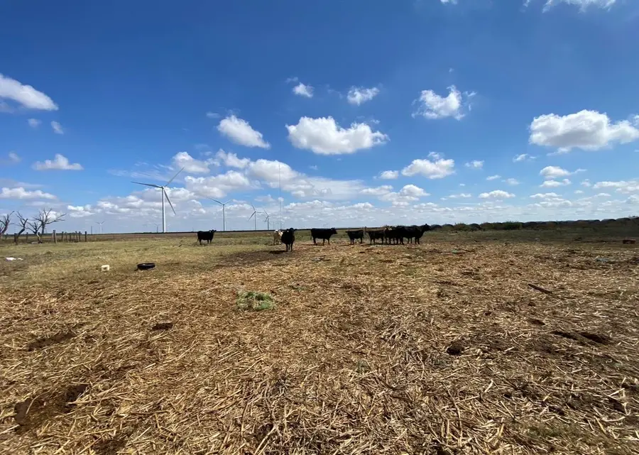 2406 Fm-1080, Weinert, TX 76388 - #2
