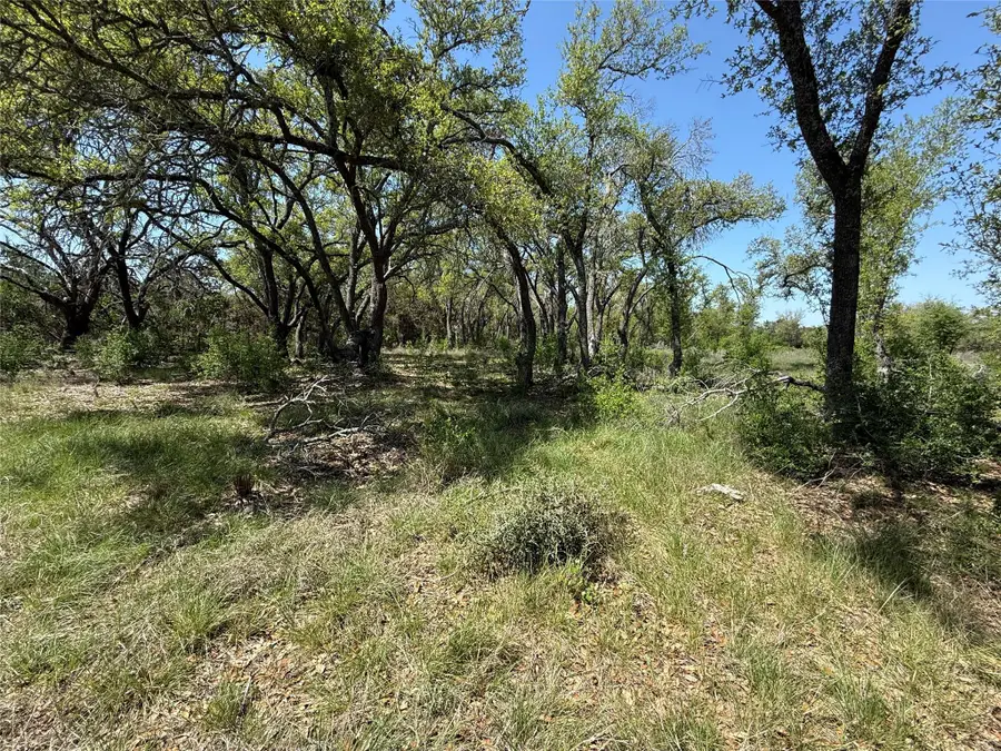 Lot 106 E Flying Owl Dr, Johnson City, TX 78636 - #3