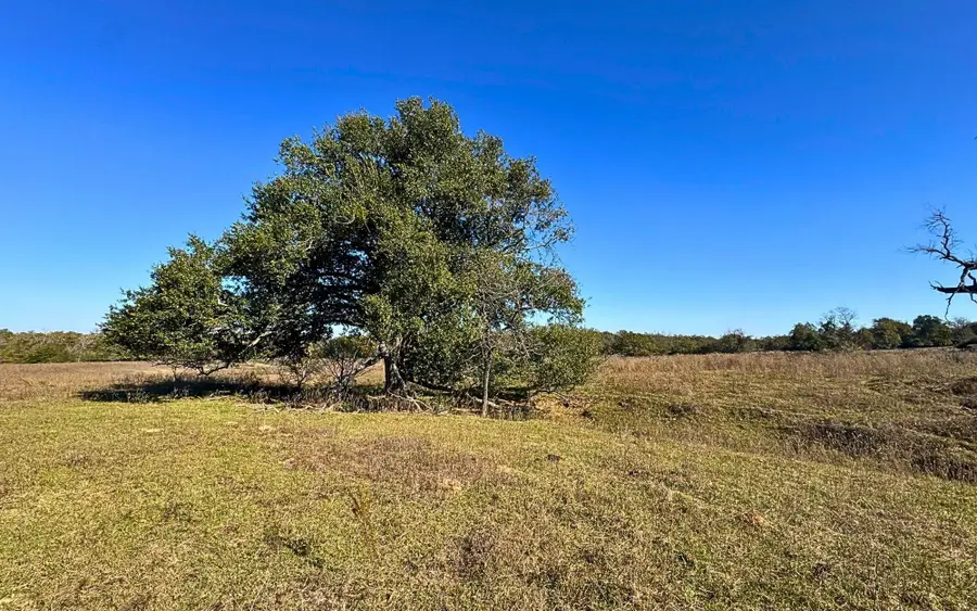 4834 Old Boone Prairie (107.53 Acres) Road, Franklin, TX 77856 - Image #2