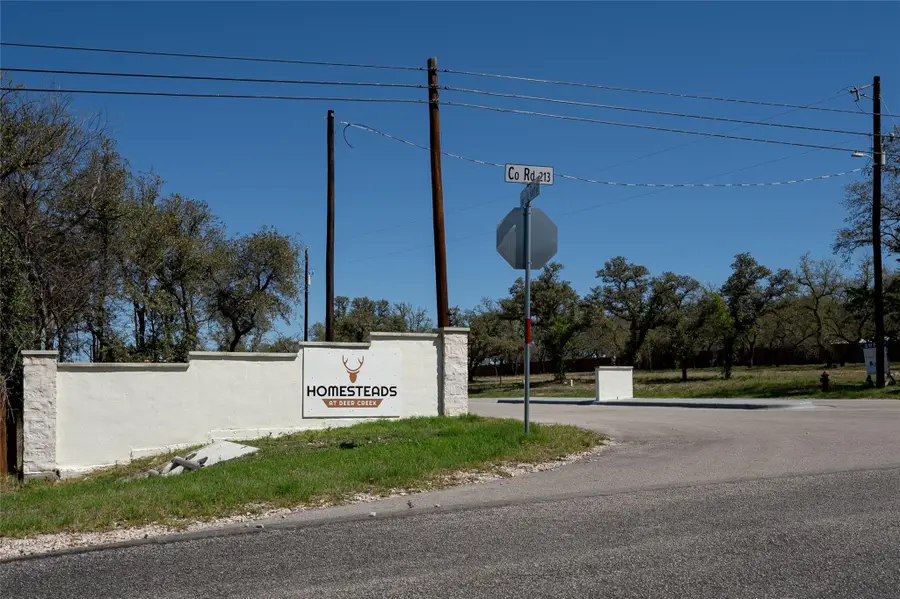 104 Cotton Rose Pl, Johnson City, TX 78636 - #3