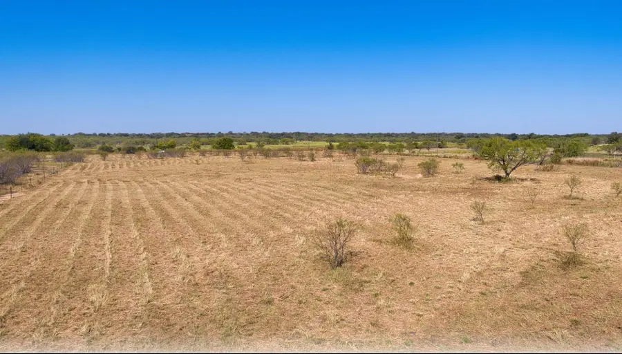 4541 County Road 117, San Saba, TX 76877 - #3