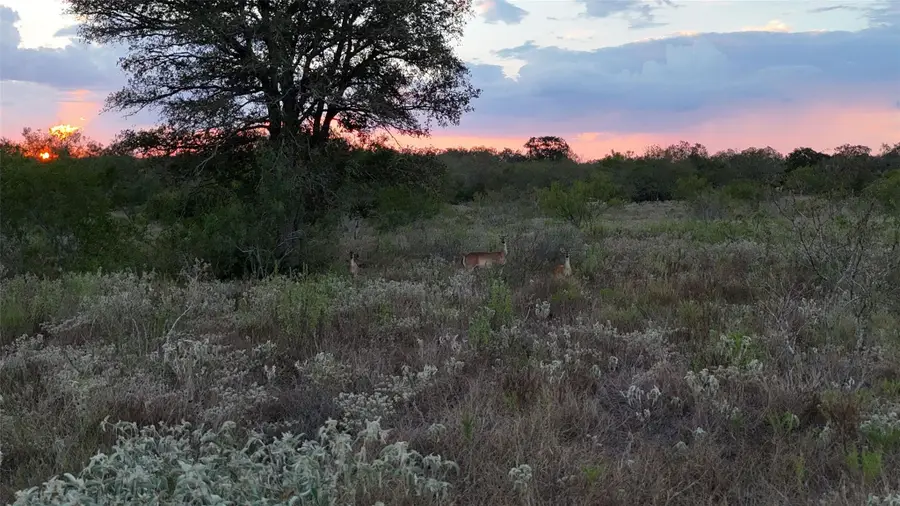 859 Lakey Rd, Nixon, TX 78140 - #3