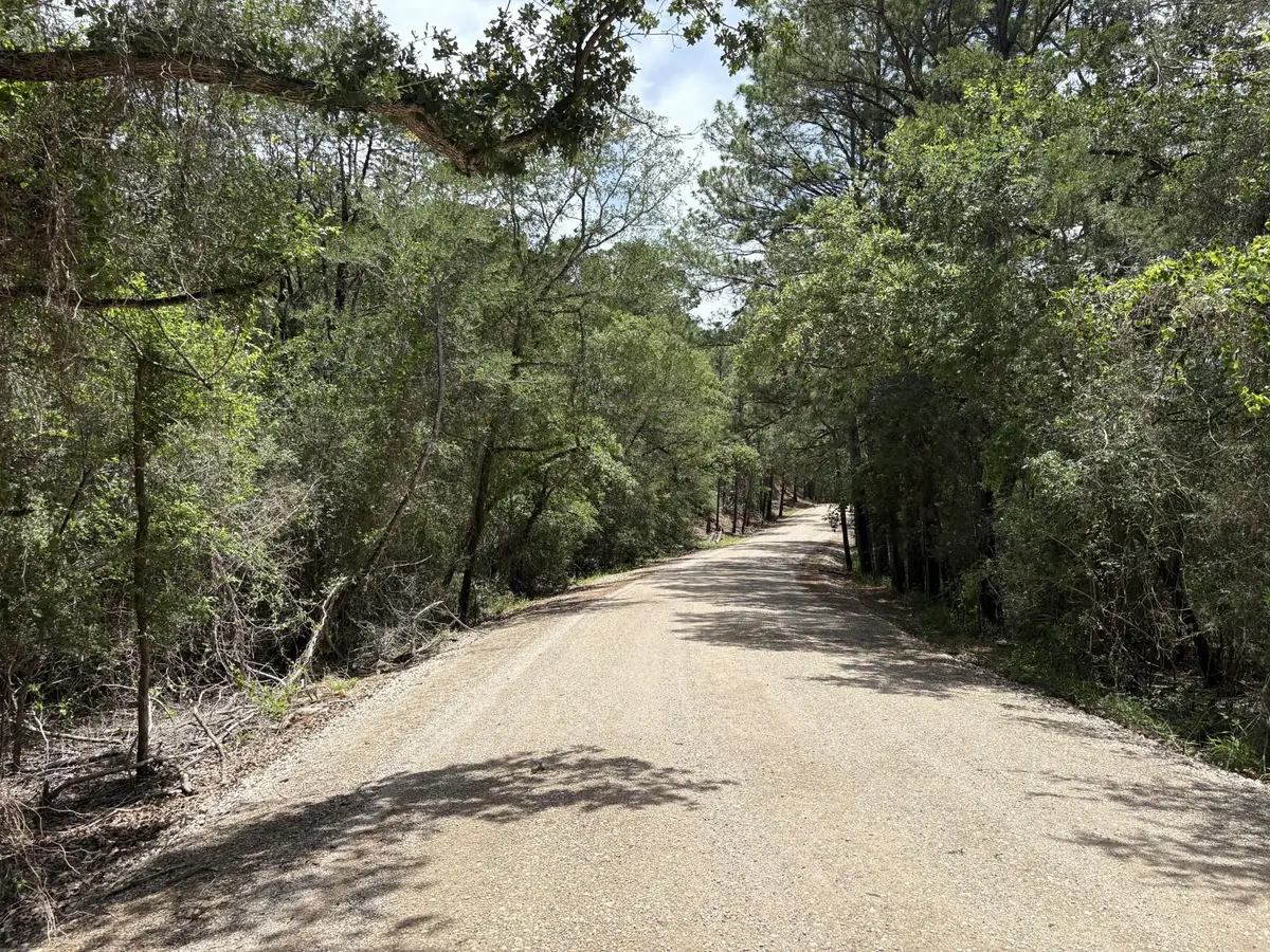 Lot 1228 & 1229 Hanauma Dr, Bastrop, TX 78602 - #1