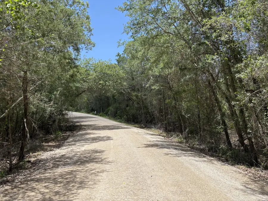 Lot 1228 & 1229 Hanauma Dr, Bastrop, TX 78602 - #2