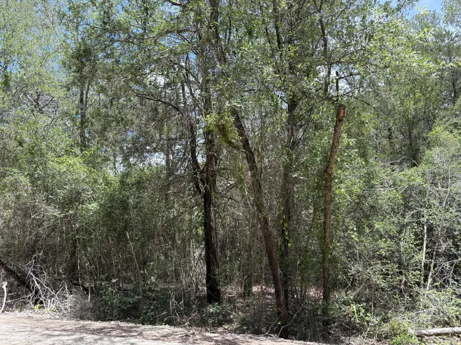 Lot 1228 & 1229 Hanauma Dr, Bastrop, TX 78602 - #3