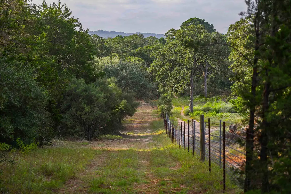 TBD Stiewert Lane, Paige, TX 78659 - #1