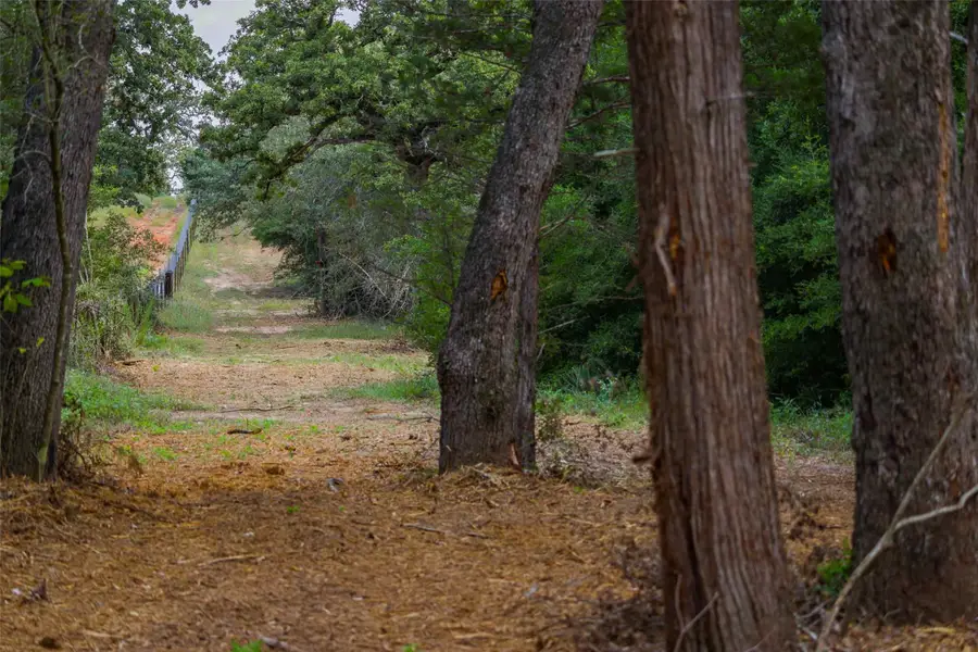 TBD Stiewert Lane, Paige, TX 78659 - #2