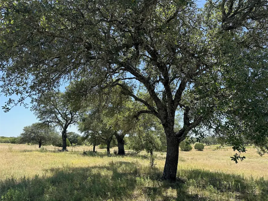 Lot 231 Winecup Dr, Lampasas, TX 76550 - Image #3