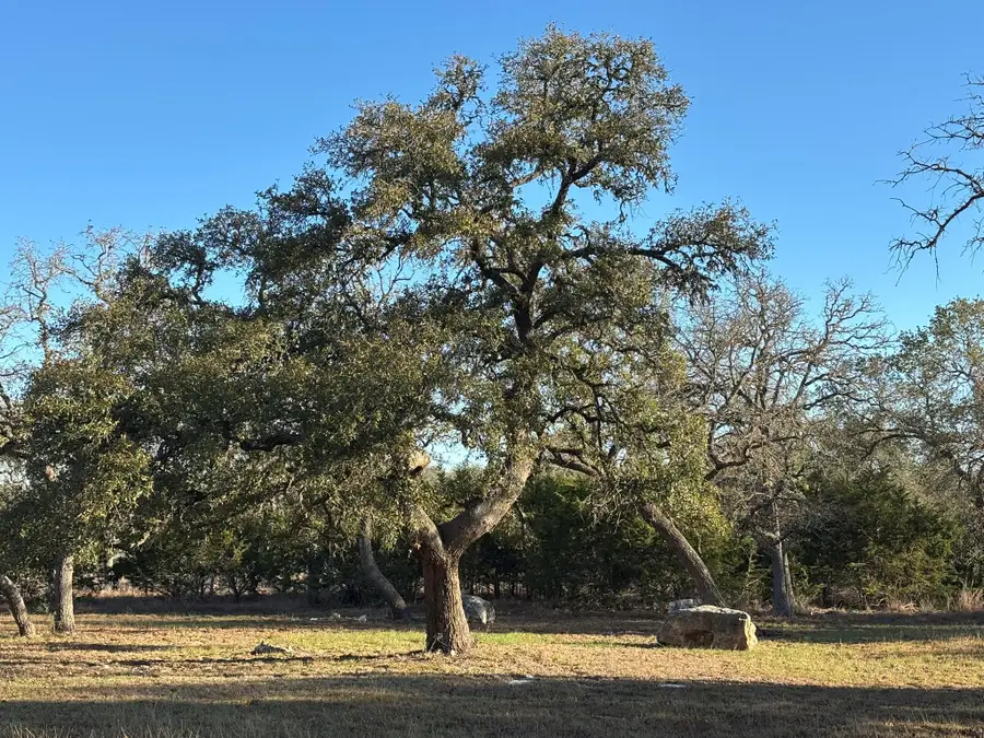 944 Fm 3351, Boerne, TX 78006 - #3