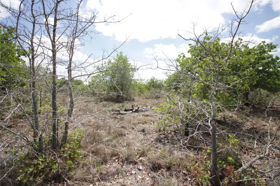 TBD River Forest Dr, Bastrop, TX 78602 - #3