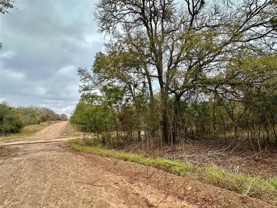 104 E Waiehu Ln, Bastrop, TX 78602 - Image #2