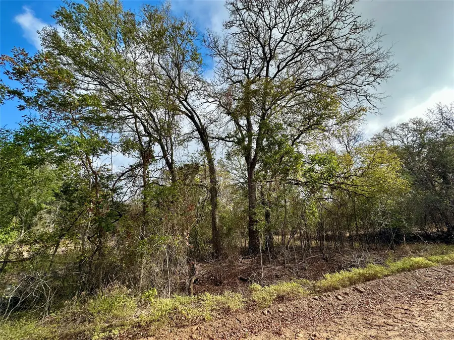 104 E Waiehu Ln, Bastrop, TX 78602 - Image #3