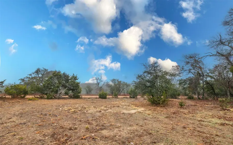 452 Ocate Mesa Trl, Liberty Hill, TX 78642 - #3