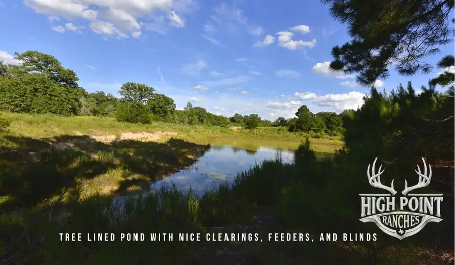 TBD Ranch Road Off Cr 405 (+/- 60 Acres), Lexington, TX 78947 - #2