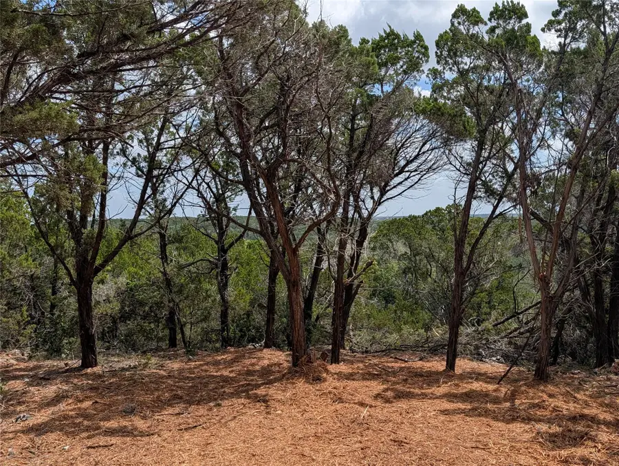 00 Mountain Top Cir, Jonestown, TX 78645 - #3