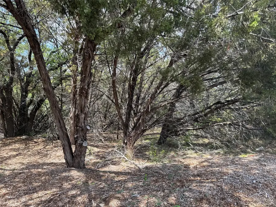 21501 Paseo De Vaca St, Leander, TX 78645 - #3