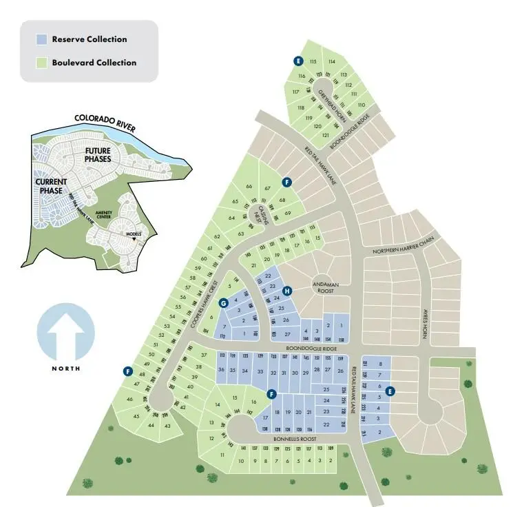 184 Coopers Hawk Crst, Cedar Creek, TX 78612 - #3