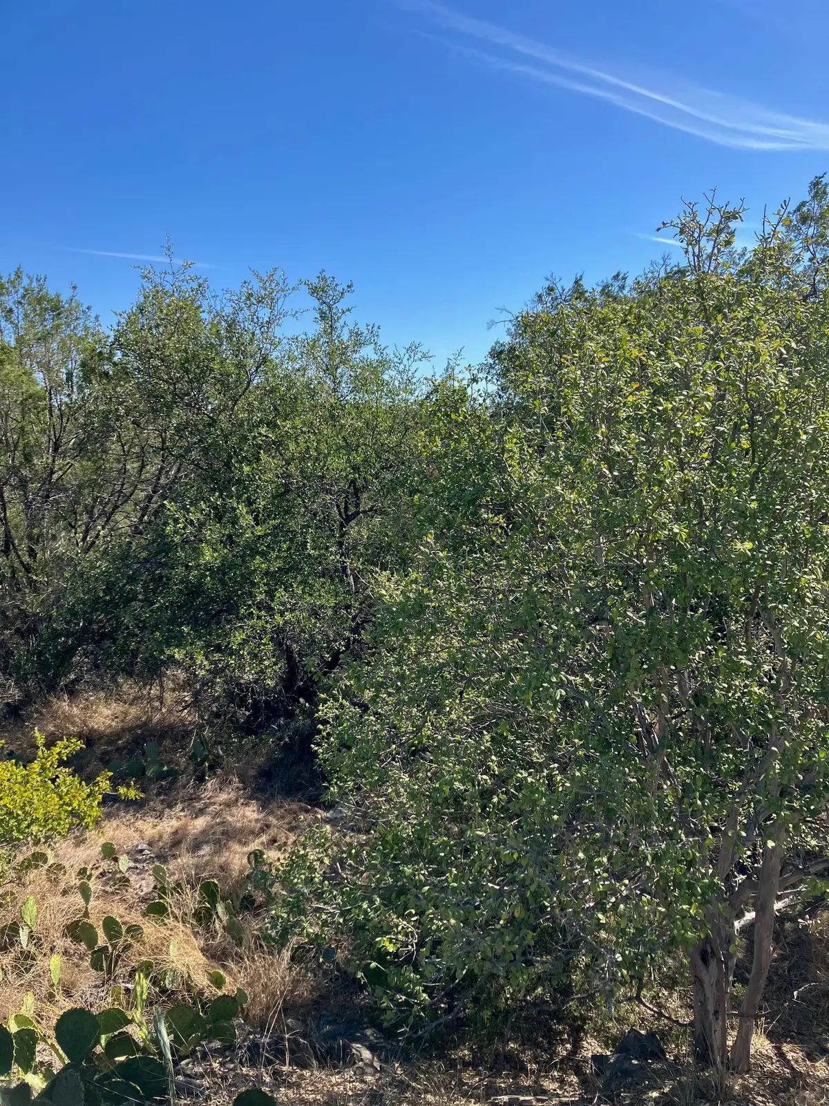 700 Pinto, Horseshoe Bay, TX 78657 - Image #1