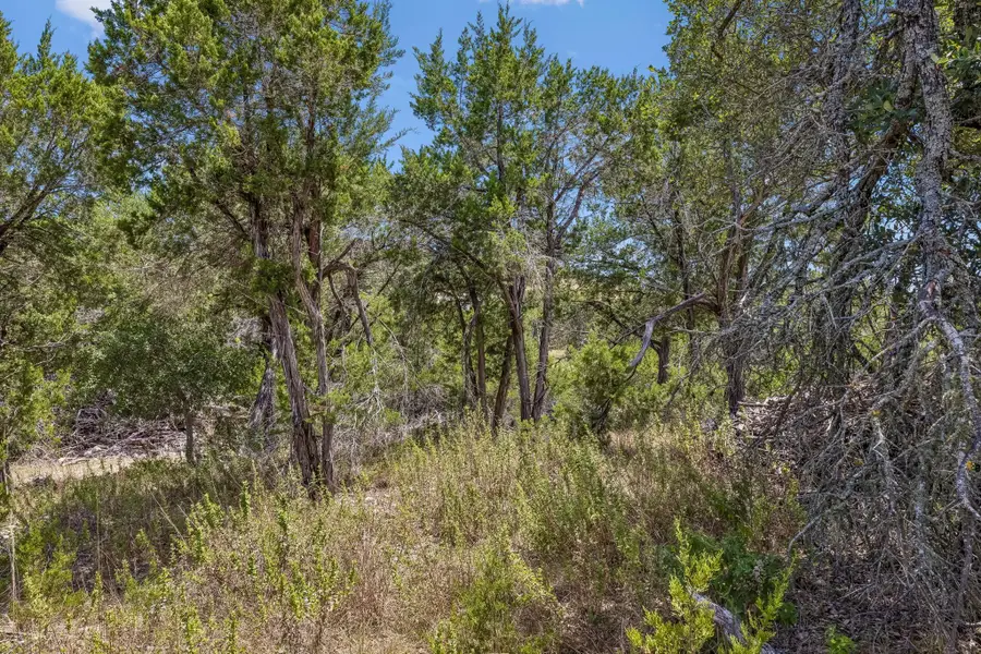 Lot 1B Evergreen Way, Dripping Springs, TX 78620 - #3