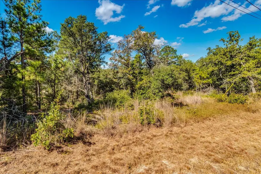 106 Wampum, Smithville, TX 78957 - Image #2