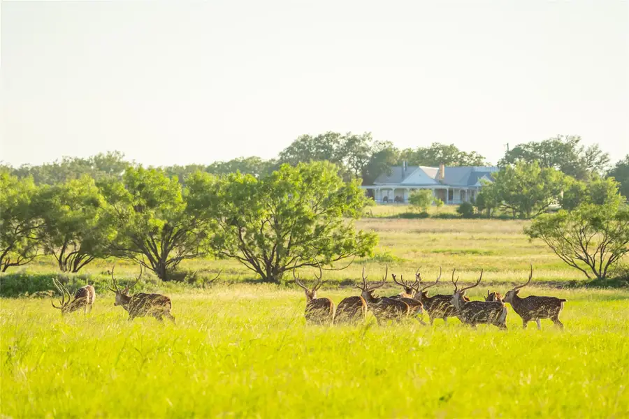 0 County Road 476 Rd, Brady, TX 76872 - Image #2