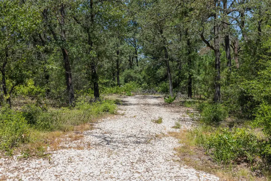 492 S Old Potato Rd, Paige, TX 78659 - #2