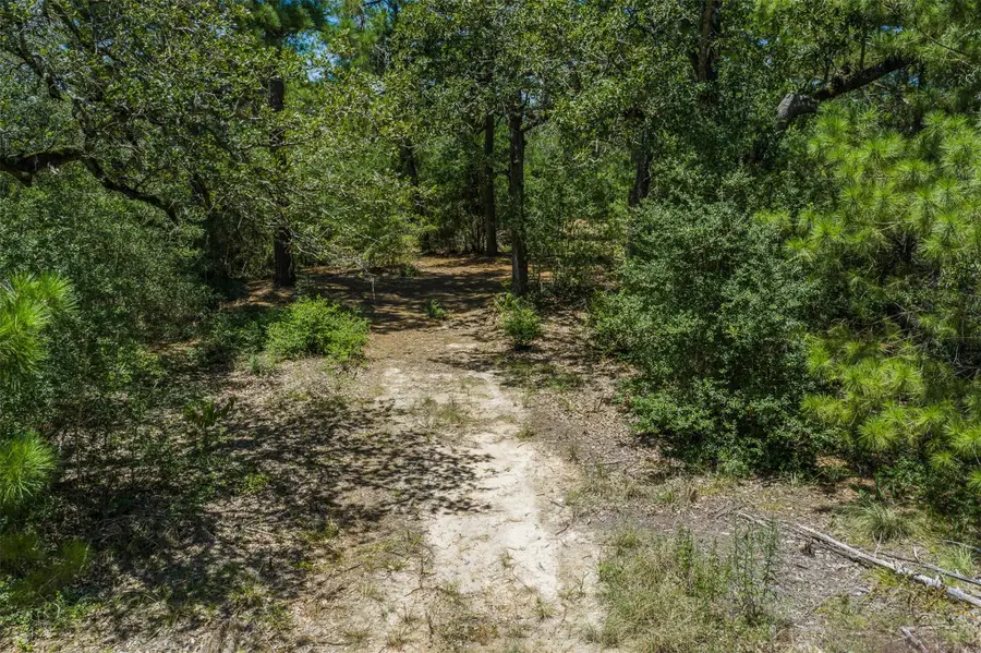 492 S Old Potato Rd, Paige, TX 78659 - #3