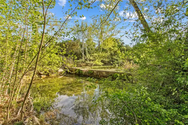 15407 Fitzhugh Pl, Dripping Springs, TX 78620