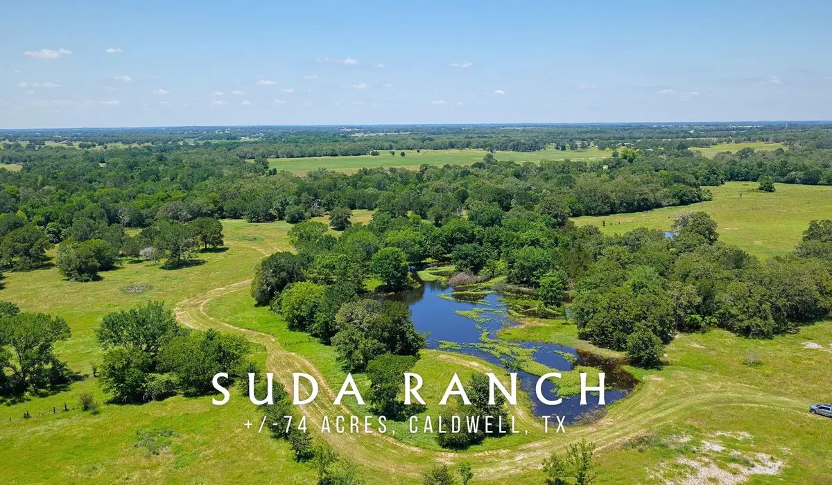 TBD County Road 132 (+/-74 Acres), Caldwell, TX 77836 - #1