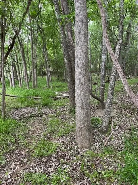 #3