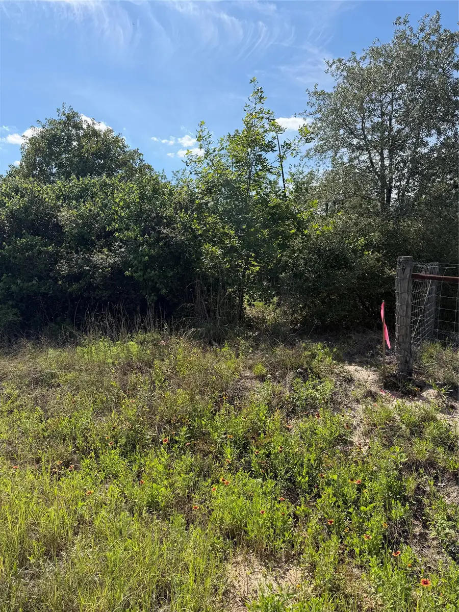 TBD Mockingbird Ln, Bastrop, TX 78602 - #2